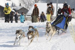 Lenk 2012 SM